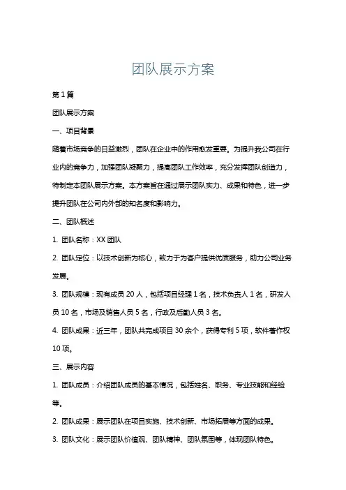 团队展示方案