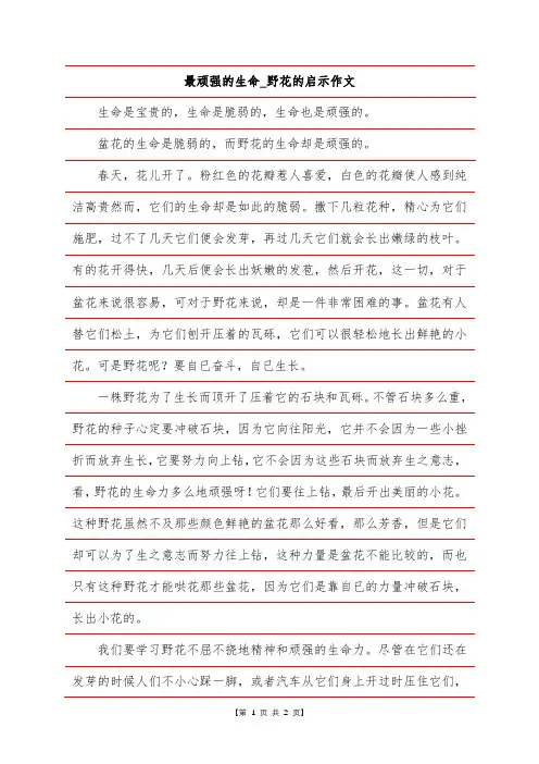 最顽强的生命-野花的启示作文