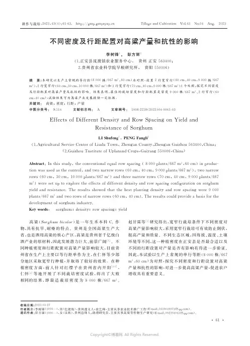 不同密度及行距配置对高粱产量和抗性的影响