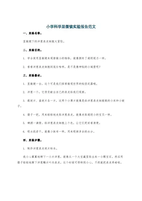 小学科学显微镜实验报告范文