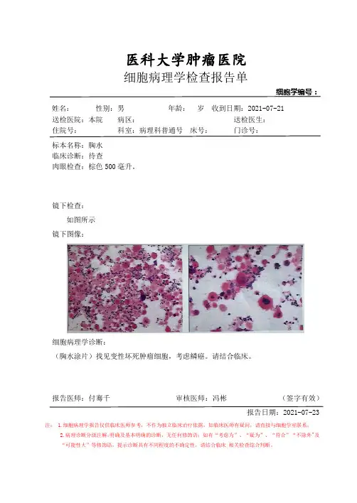 细胞病理学检查报告单