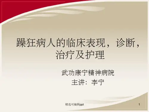 躁狂症的护理PPT