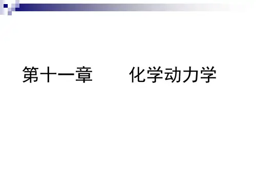 ch11.1化学反应的速率及速率方程