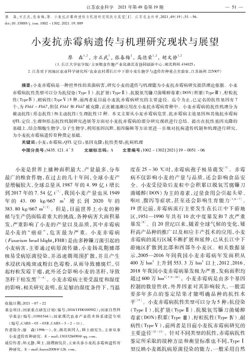 小麦抗赤霉病遗传与机理研究现状与展望