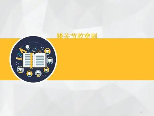 膝关节穿刺PPT课件