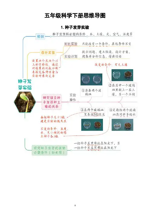 小学科学教科版五年级下册每课思维导图(1-5课)(2022新版)