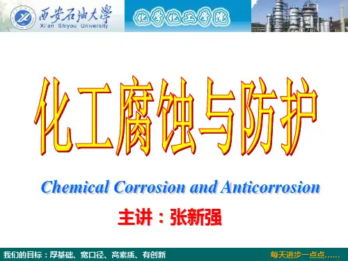 化工腐蚀与防护