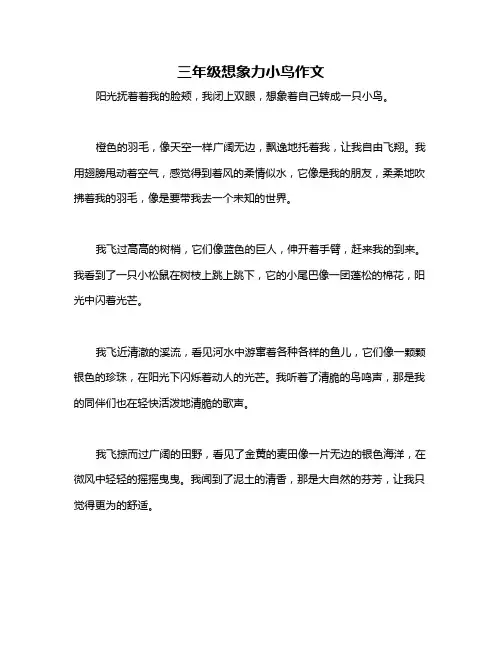 三年级想象力小鸟作文