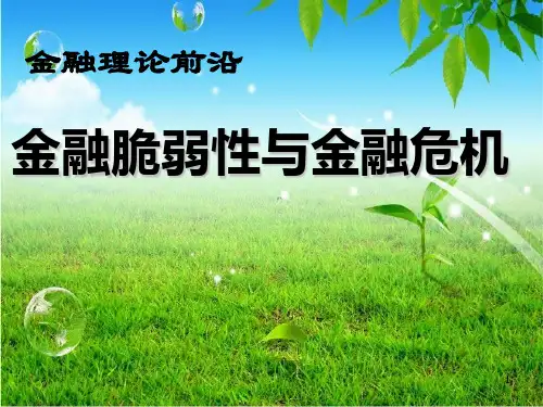 金融脆弱性与金融危机
