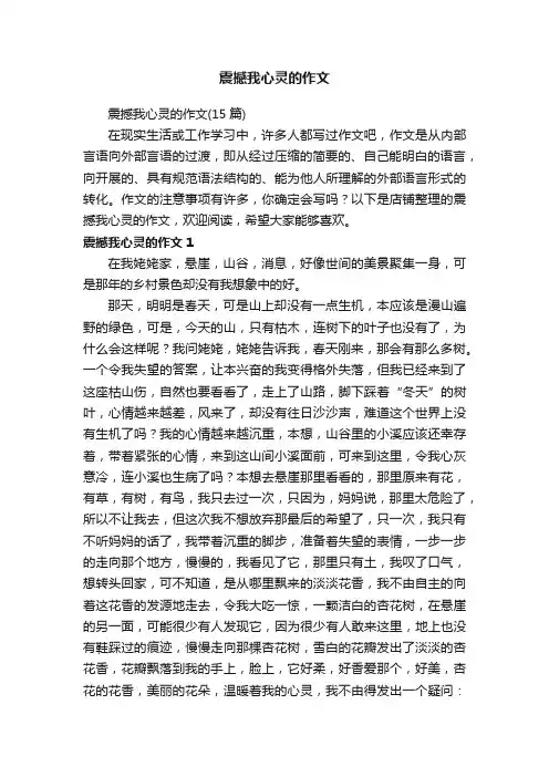 震撼我心灵的作文