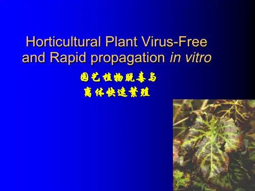 园艺植物生物技术第三章