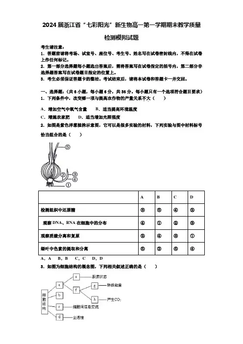2024届浙江省“七彩阳光”新生物高一第一学期期末教学质量检测模拟试题含解析