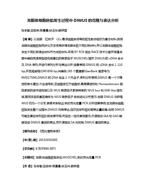 龙眼体细胞胚胎发生过程中DlWUS的克隆与表达分析