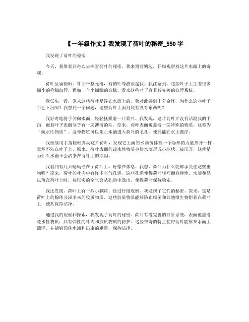 【一年级作文】我发现了荷叶的秘密_550字