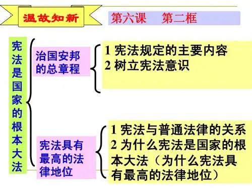 依法参与政治生活6-3(PPT课件