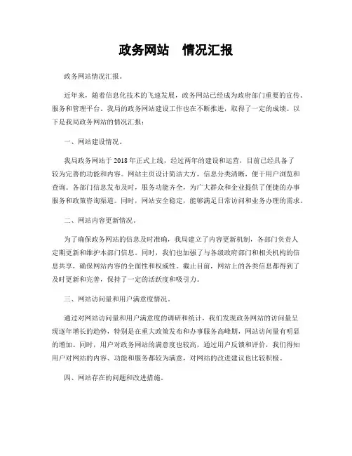 政务网站  情况汇报