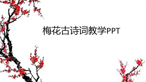 梅花PPT讲课课件