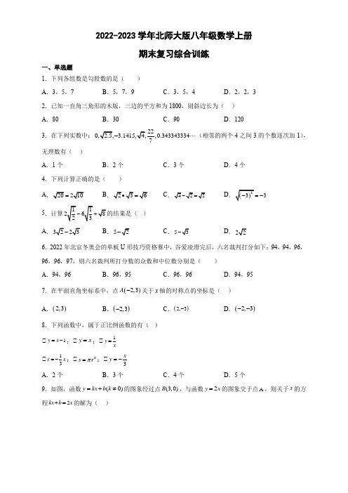 北师大版八年级数学上册期末复习综合训练(含答案)