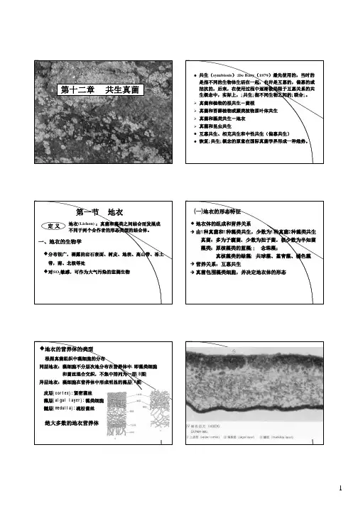 12-共生真菌和真菌病毒