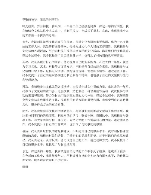镇综合文化站个人工作总结