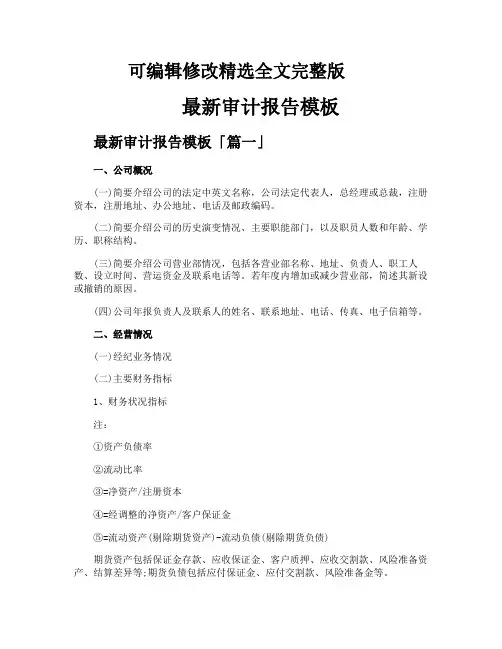 最新审计报告模板精选全文完整版
