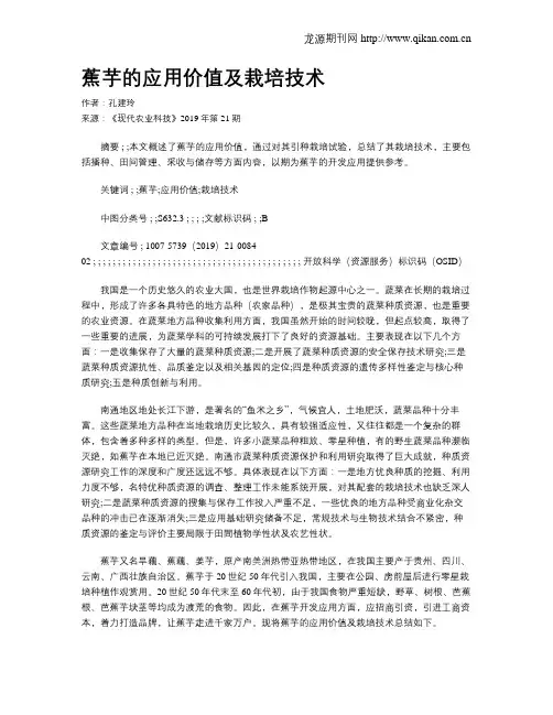 蕉芋的应用价值及栽培技术