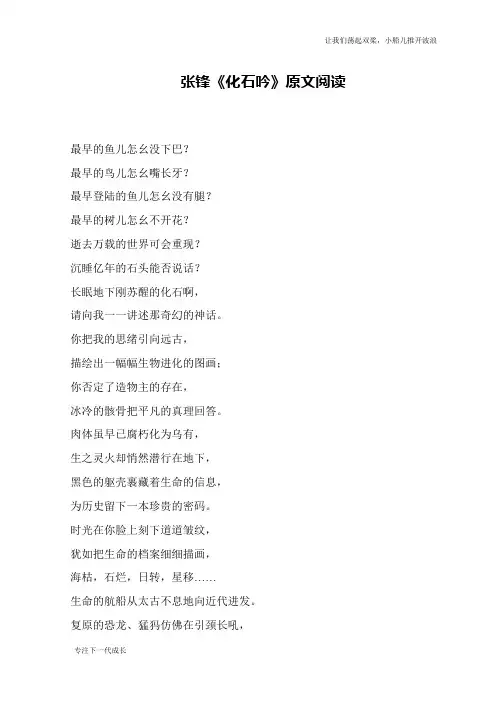 张锋《化石吟》原文阅读