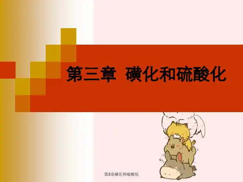 第3章磺化和硫酸化