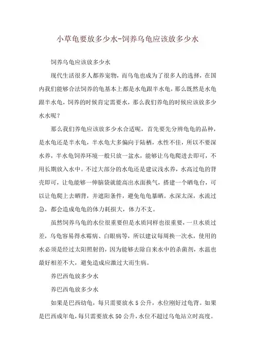小草龟要放多少水-饲养乌龟应该放多少水
