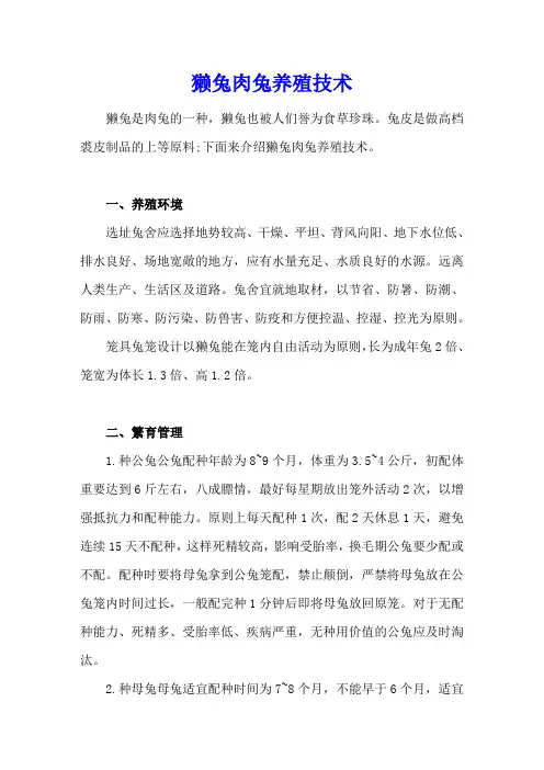 獭兔肉兔养殖技术
