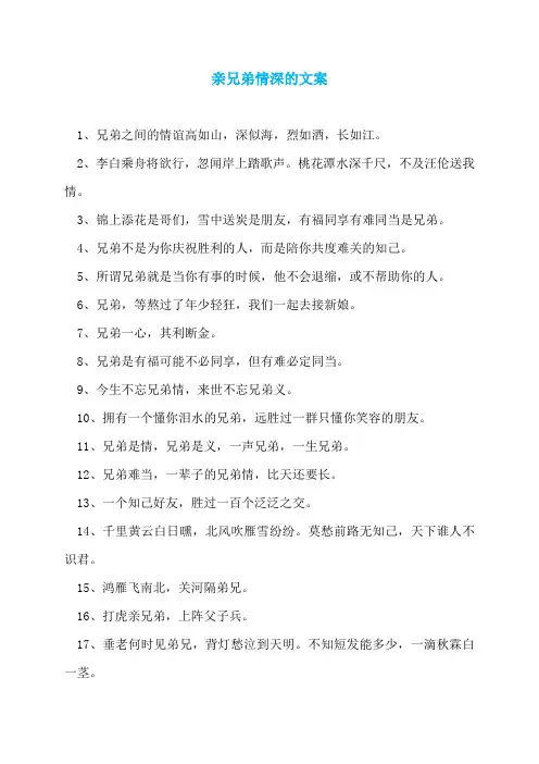 亲兄弟情深的文案