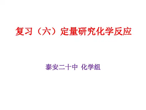 复习(六)定量研究化学反应