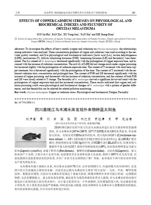 四川嘉陵江乌木滩水库发现外来物种蓝太阳鱼