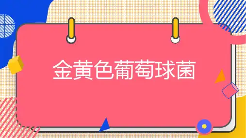 金黄色葡萄球菌