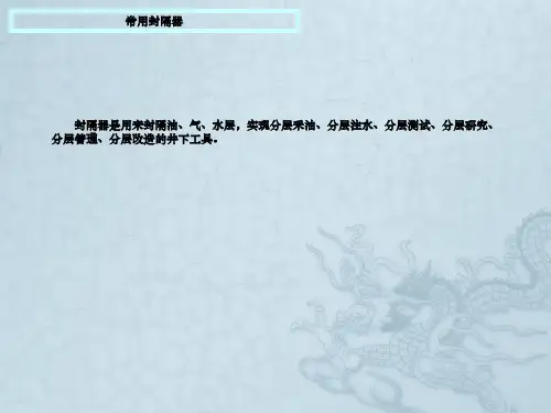 常用封隔器