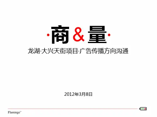 红鹤沟通龙湖·大兴天街2012广告传播