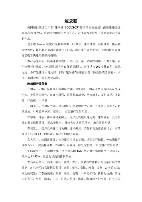美国硼砂集团产品资料