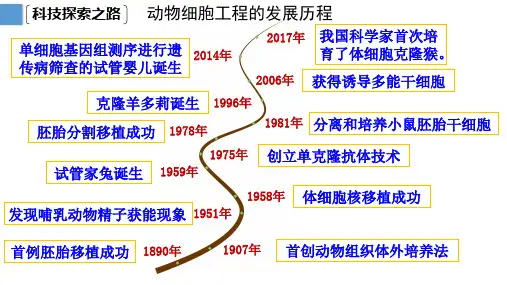 2.2.1动物细胞培养课件-高二下学期生物人教版选择性必修3