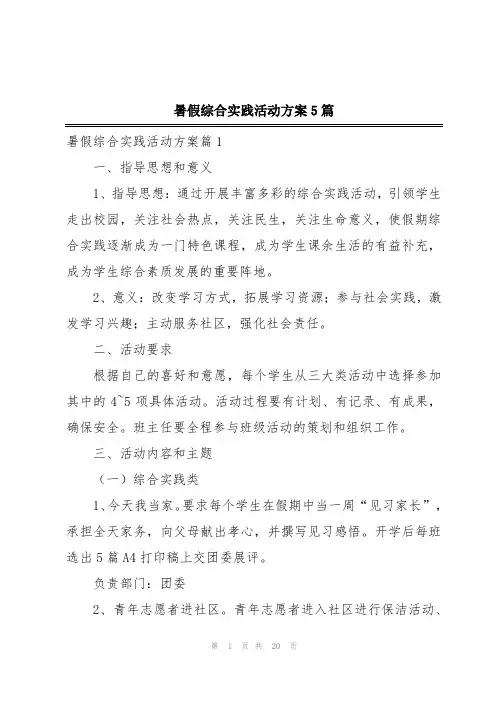 暑假综合实践活动方案5篇