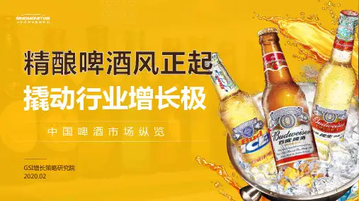 中国精酿啤酒行业纵览PPT模板