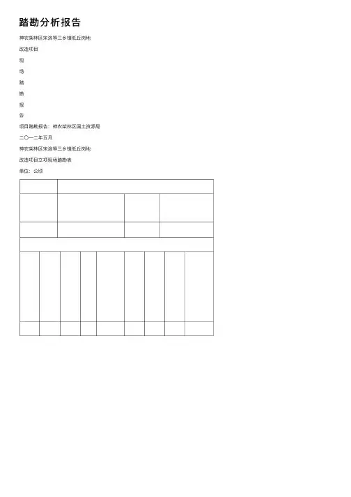 踏勘分析报告