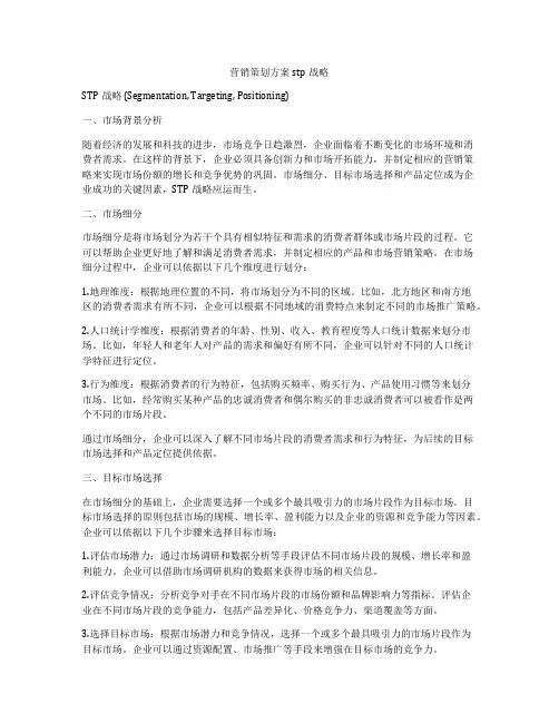 营销策划方案stp战略