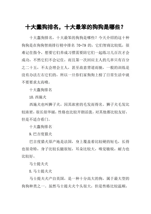 十大蠢狗排名,十大最笨的狗狗是哪些？