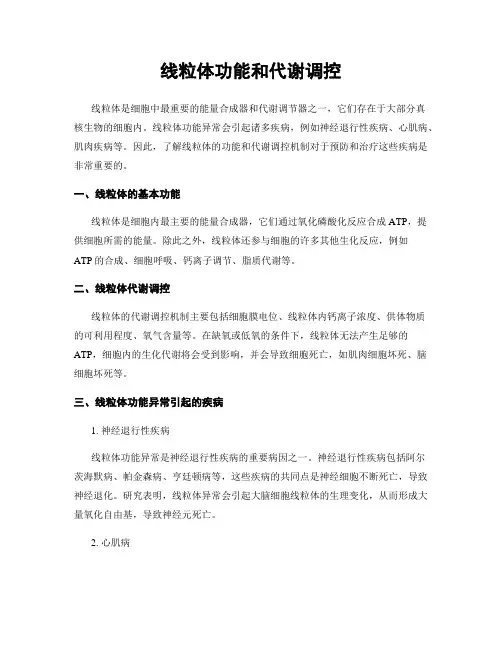 线粒体功能和代谢调控