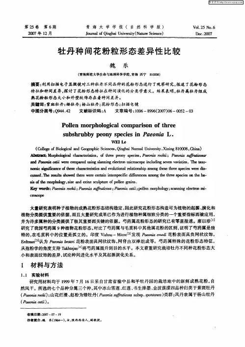 牡丹种间花粉粒形态差异性比较