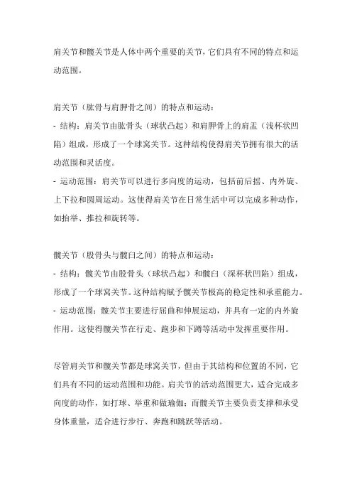 简述肩关节,髋关节的特点和运动