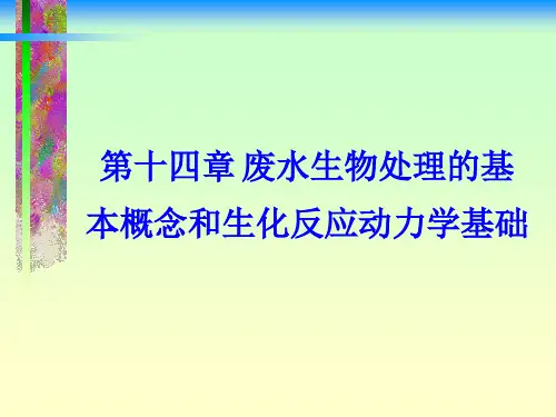第十四章生化反应动力学 - 第六章水体污染与自净