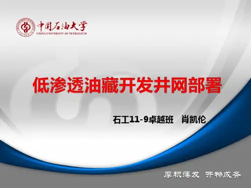 低渗透油藏开发井网部署