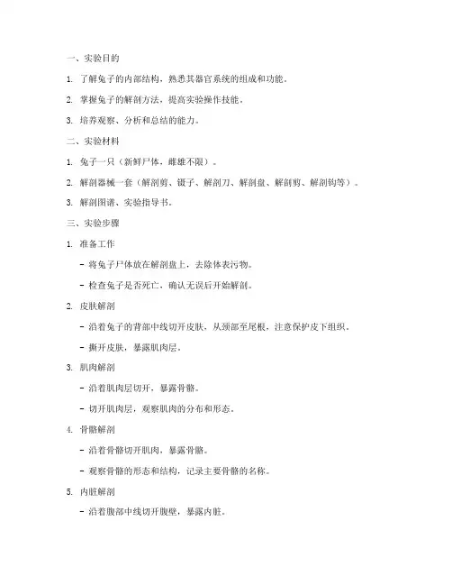 兔剖解实验报告