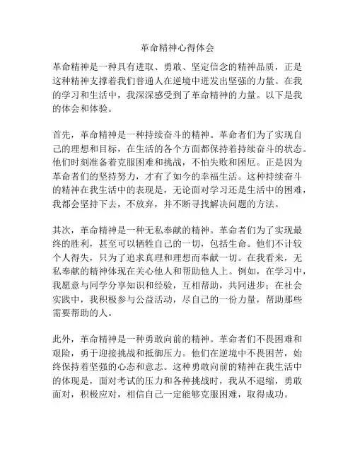 革命精神心得体会